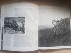 Picture 14 of 24