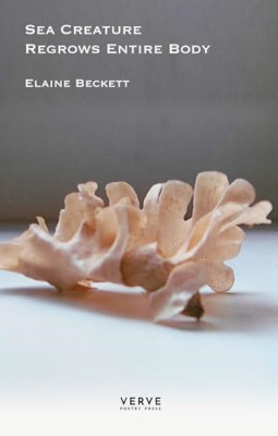 Sea Creature Regrows Entire Body -  NEW Elaine Beckett 2021