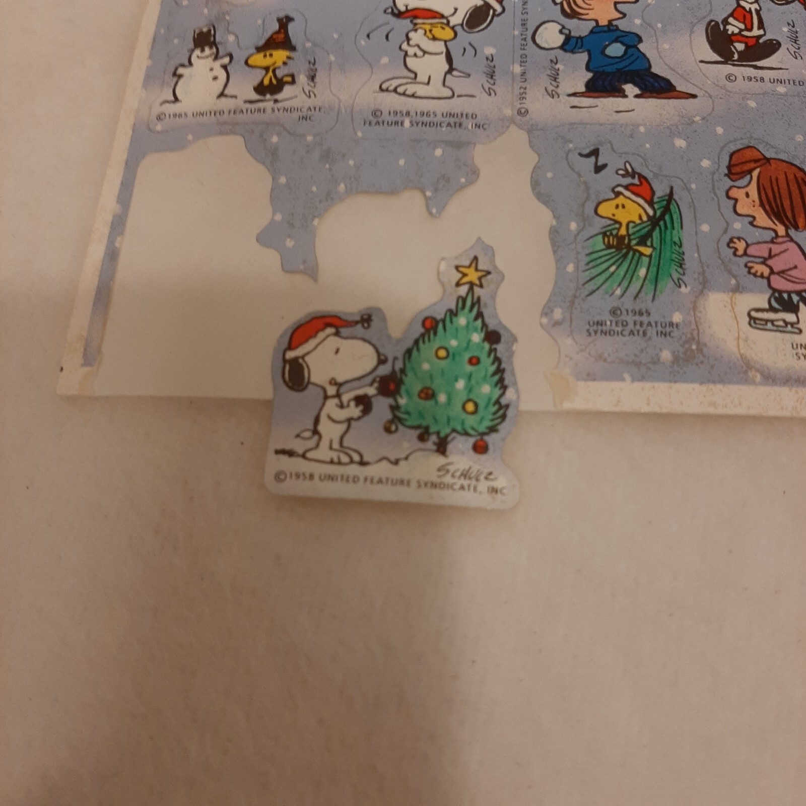 Picture 4 of 11