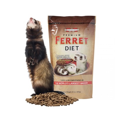 Marshall Pet Products Premium Ferret Diet Dry Food, 22 Oz - Protein-ri