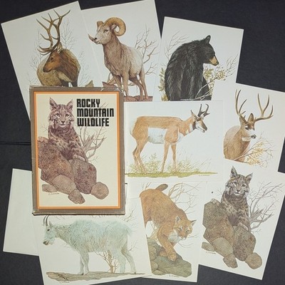 Vintage Current ''Rocky Mountain Wildlife'' 8 Blank Note Cards & Envelopes 5x7 NEW