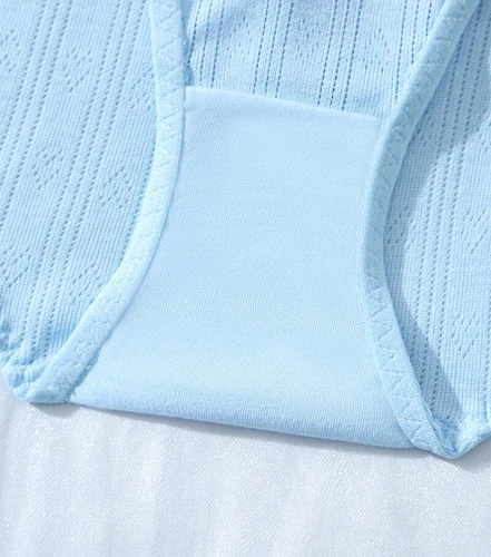 Pack Of 5 Women Sexy Panties Underwear Ladies Breathable High Leg Brief Intimate - Picture 10 of 11