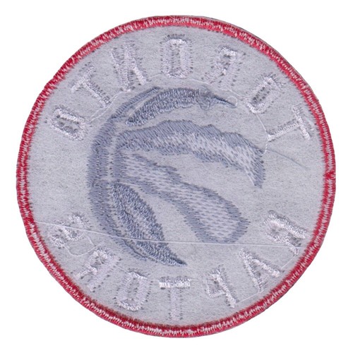 10 pcs Toronto Raptors Basketball Logo Size 2.5"x2.5" Embroidered Iron On Patch - Picture 9 of 12