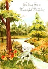 Vintage Wishing you a Happy Birthday USED Card | Dog by Stream | USA Made