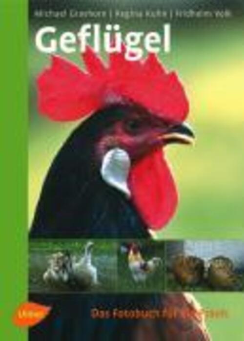 Thumbnail - Geflügel Das Fotobuch Für Die Praxis Michael Grashorn (u. A.) Buch 144