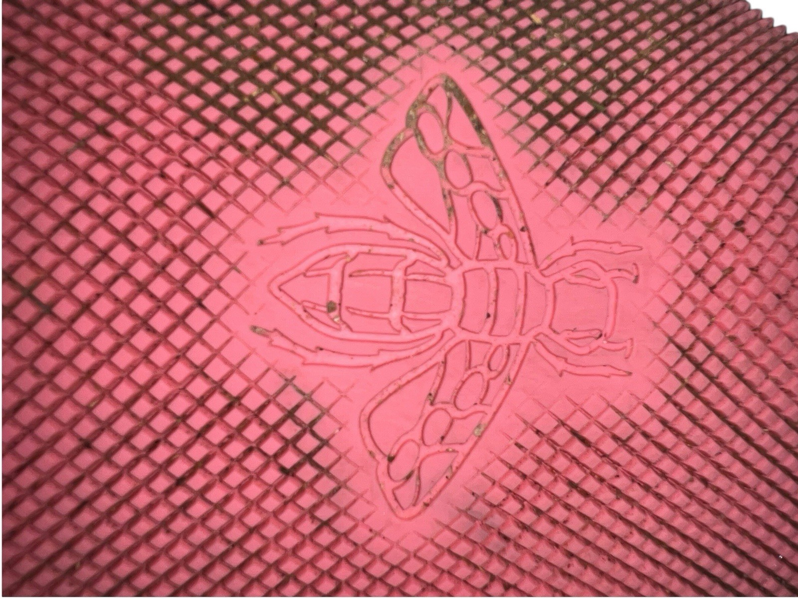 Gucci Basket Aged Fabric Athleisure Shoes Women's Pink Size EU38 thumbnail 8