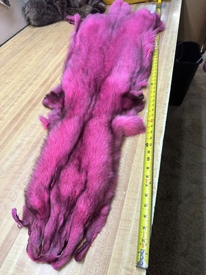 BLUE FOX EXTRA EXTRA HEAVY GORGOUS TOP OF THE LINE FROM NORWAY   DYED