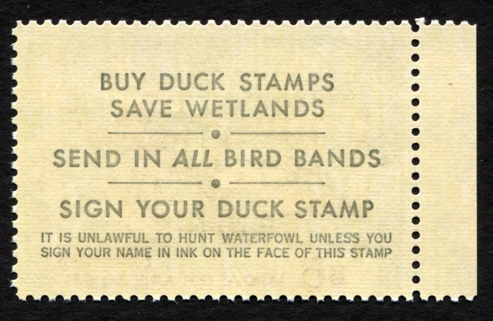 RW40 XF MNH 1973 Steller’s Eider US Federal Duck Stamp Migratory Waterfowl Mint - Image 3 of 3