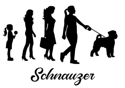 Autoaufkleber/Sticker Innen + Außen / Mann Frau Evolution Hund Schnauzer - Bild 1 von 6