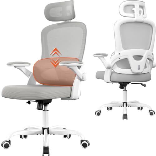 Ergonomic Office Chair, High Back Office Desk Chair with Adjustable Lumbar Grey
