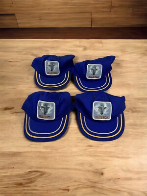 blue Fox two striped trucker Cap Hat adjustable USA Paramount cap Lot READ