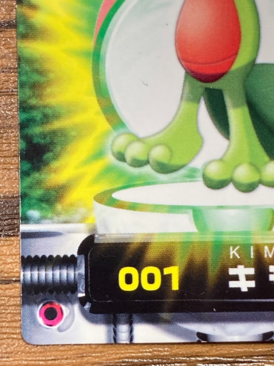 Pokemon Advanced Generation Zukan Nintendo Card Treecko Japan