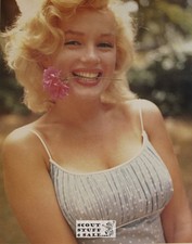 Marilyn Monroe Photo by Sam Shaw Poster Postcard by Classico SF #182-001, 11x14