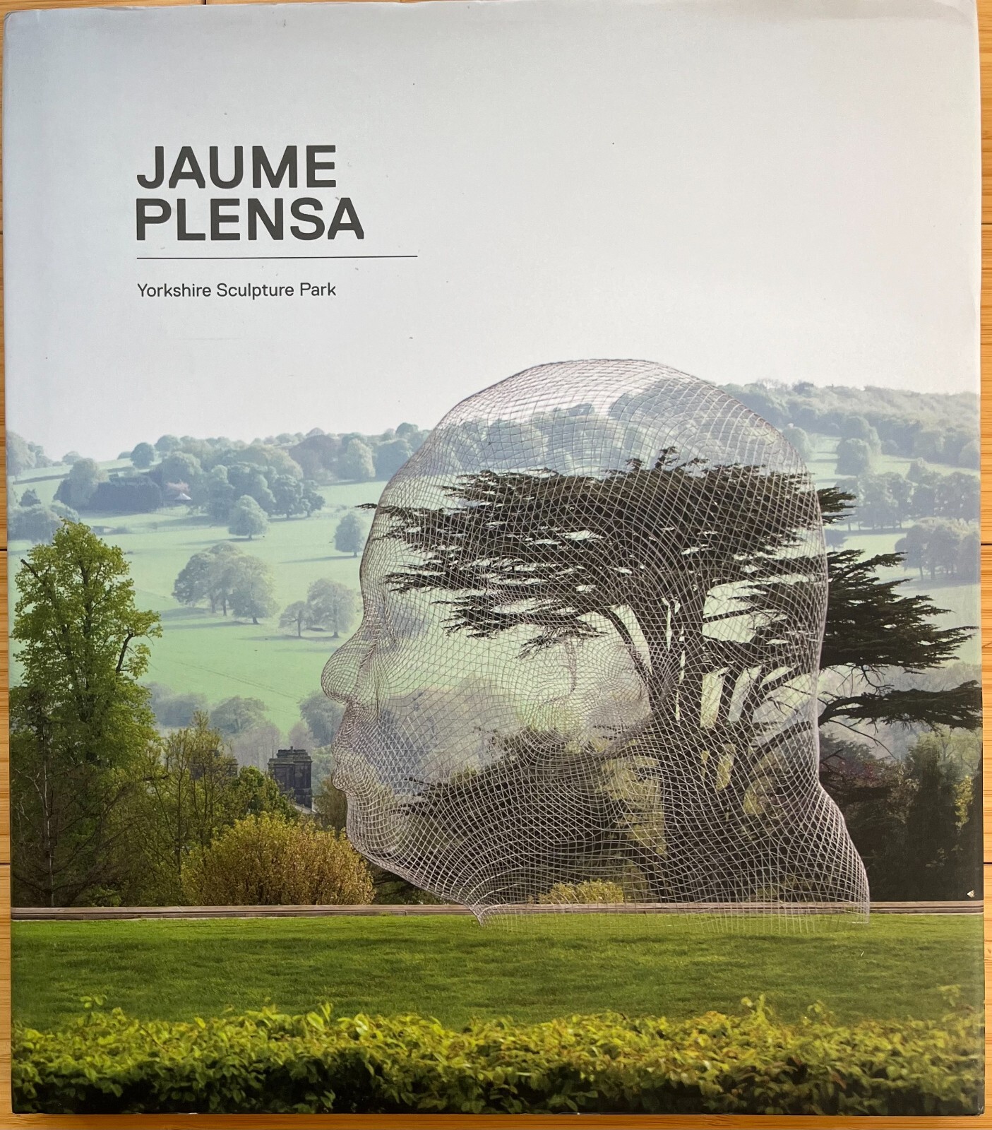 Jaume Plensa Yorkshire Sculpture Park Spain Catalonia Visual Modern Art SIGNED