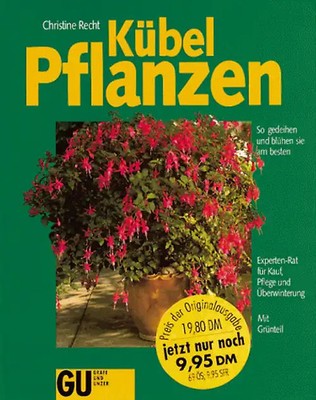 Kübelpflanzen. So gedeihen und blühen sie am besten. Experten-Rat für Kauf, Pfle