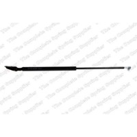 LesjÖFors Gasfeder DäMpfer Heckklappe Hinten Links FüR Mazda 323 F VI BJ 8155421