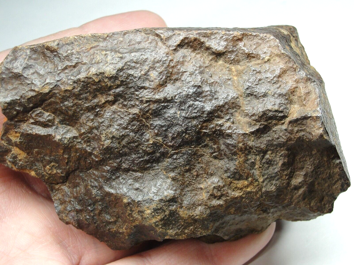 METEORページ Meteorite - Oriented - Top Quality - Rare Orientation - SLS-1872