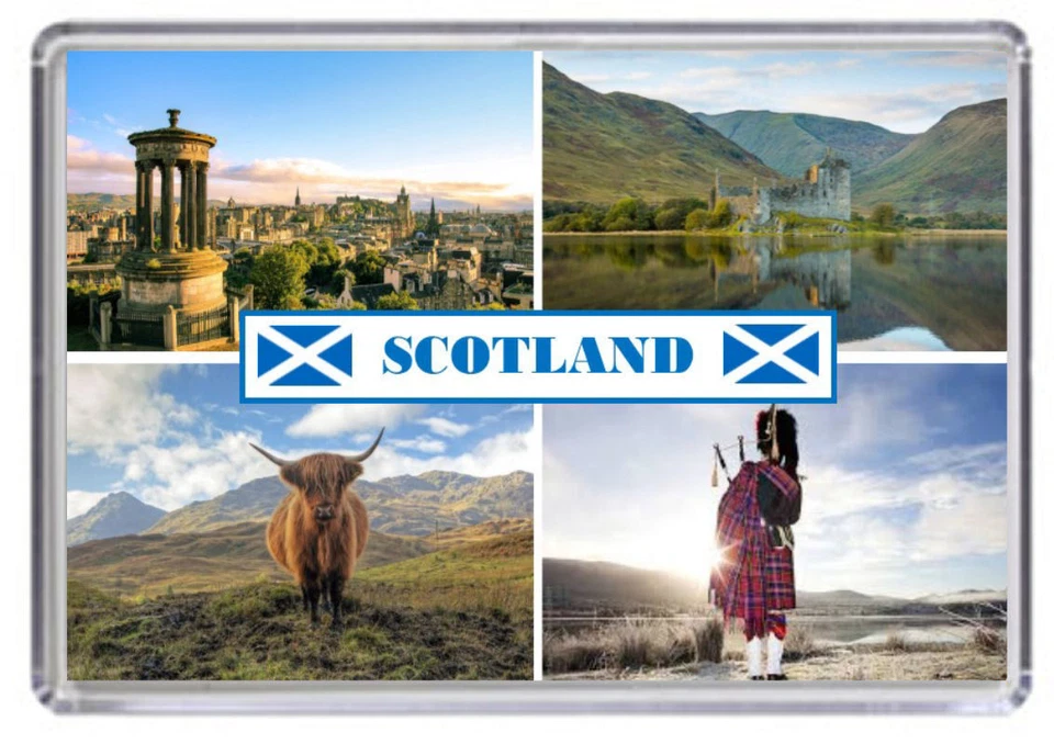 Scotland Fridge Magnet