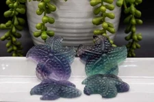 Fluorite Carving - Rainbow Starfish 2"