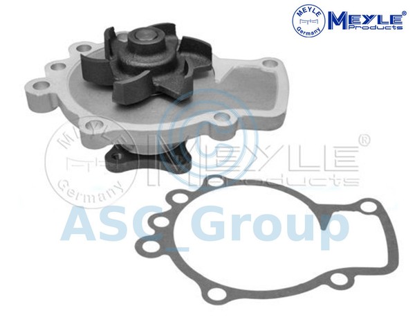 Meyle Ersatz Motor KüHlmittel Wasserpumpe 36-13 220 0000-image
