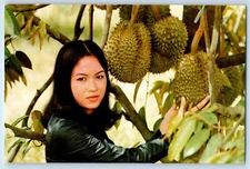 Thailand Postcard Girl Picking Durian Fruit c1950's Vintage Unposted