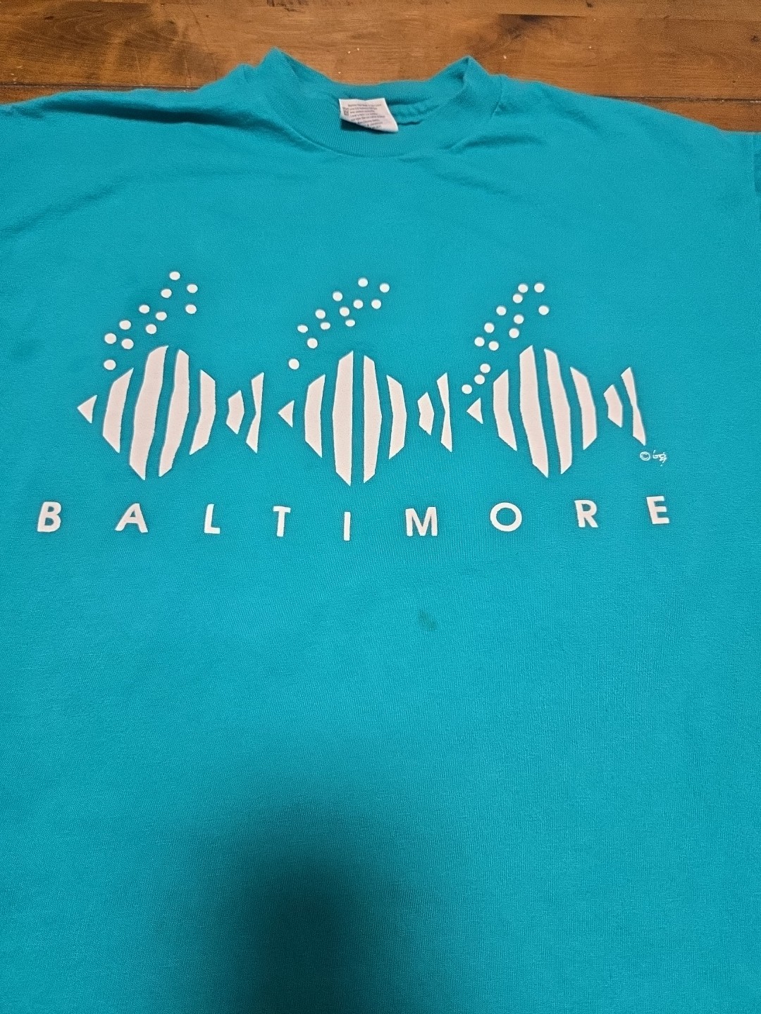 VTG 90s Mens Baltimore Fish Teal Hanes Beefy T Made in USA L Single Stitch image 3