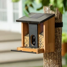 Solar Smart Bird Feeder WiFi Camera 1080p HD App Alerts AI Bird ID Cedar Wood