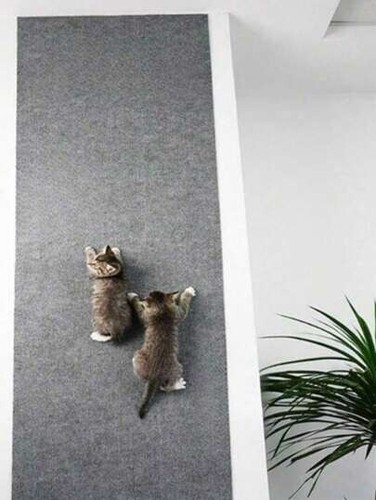 1Pc Cat Scratching Pad Sofa Protector Cat Scratcher Mat Self-adhesive Cat Carpet - Picture 2 of 5