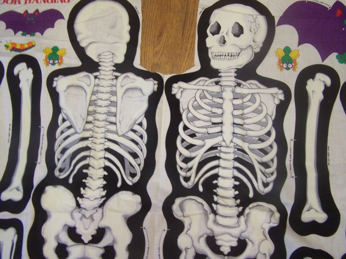 Mr. Bones and Friends Door Hanging Halloween Fabric Panel Skeleton