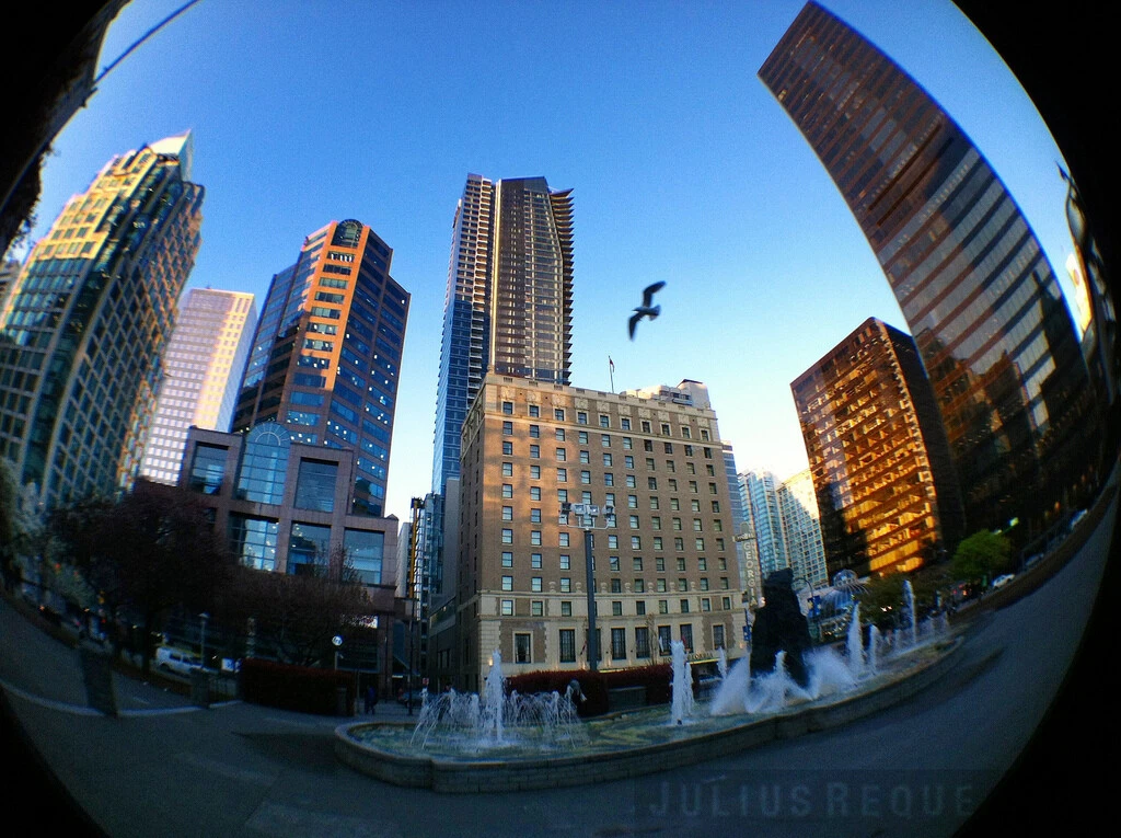 Fish camera lens deals