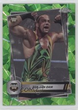 2025 Topps Chrome WWE Sapphire Edition Green /75 Rob Van Dam #163 1o52