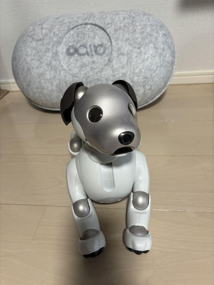 SONY Aibo AIBO ERS-1000 Robot cane grigio bianco Giappone JP