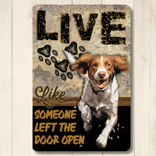 Brittany Spaniel Live Like Someone Left Gate or Door open metal sign tin dog art