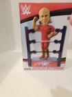 FOCO Superstar Billy Graham WWF Legend Bobblehead WWE Wrestling