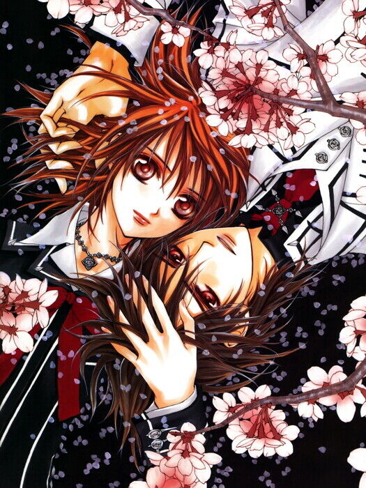 Vampire Knight Manga ve Anime