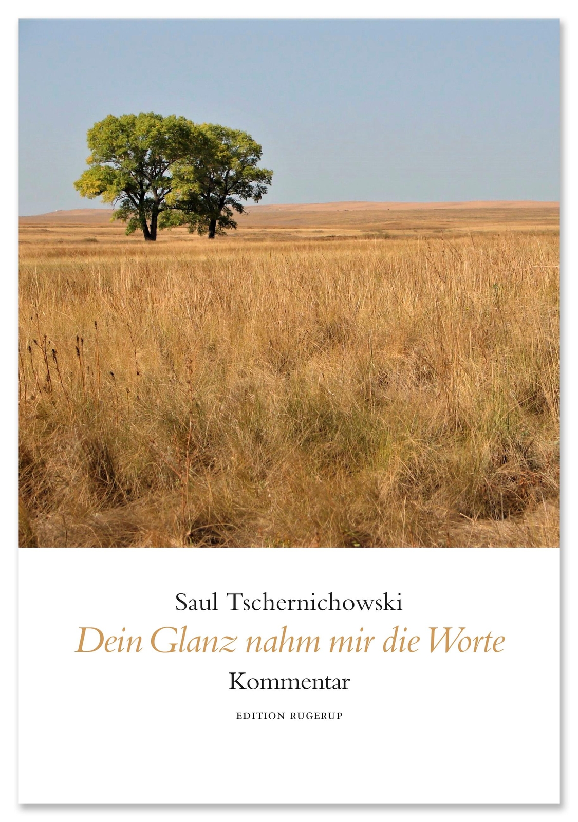 Thumbnail - Dein Glanz Nahm Mir Die Worte | Tschernichowski, Saul