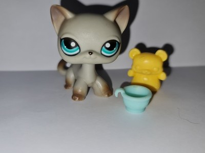 Littlest Pet Shop #391 Gray Siamese Shorthair Egyptian Cat LPS