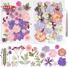 50Pcs Dried Pressed Flowers Resin Mould Real Pressed Flowers Natural Dry Leaves