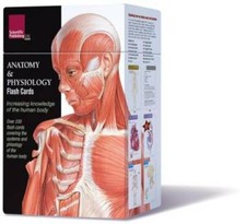 Anatomy  Physiology Flash Cards - Cards By Scientific Publishing - GOOD