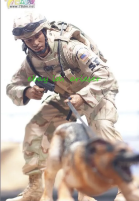Mcfarlane'S Military Series3 Air Force Security Forces K-9 Handler