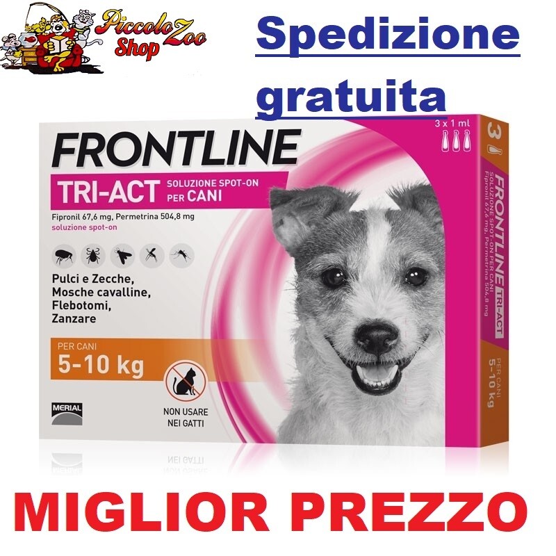 Foto 1 di 1