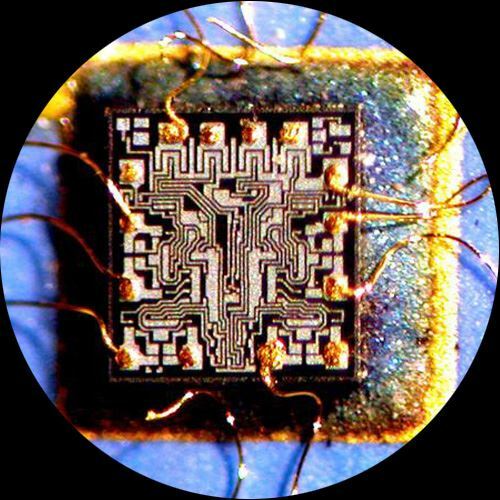 AmScope 3.5-225X Sim-Focal 144LED Articulating Zoom Stereo Microscope 5MP Camera