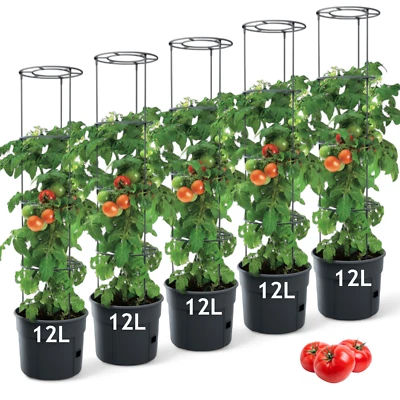 MARKENLOS 5 x vaso per pomodori con supporto per rampicanti fioriera piante pomodori 12L giardino balcone