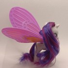 Foto 173 di 177