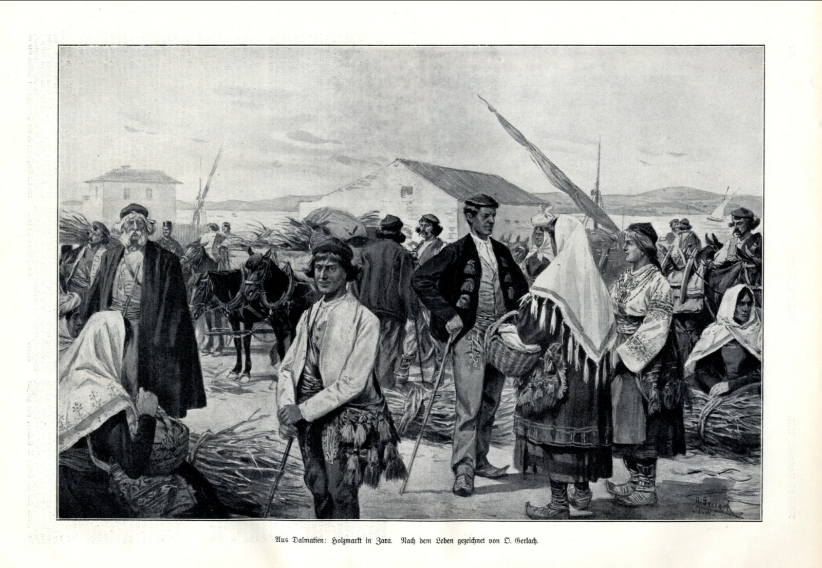 Discover the 1906 XL Wood Market art print in Zadar, Dalmatia, Croatia