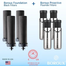 Boroux Foundation + Proactive Premium Black and Fluoride Filter Bundle 4 Pack
