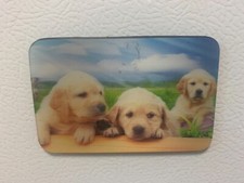 Golden Retriever Puppies 3D view MAGNET new locker fridge car