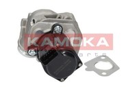 Kamoka 19029 Agr-Ventil For CitroËN Ford Peugeot Toyota