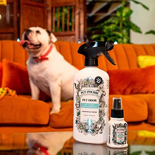 PetPourri Pet Odor Air + Fabric Odor Eliminator Spray, Pawsitively
