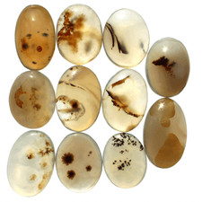 11 Pcs Natural Scenic Agate Collectible Oval Healing Crystals Mineral Specimen